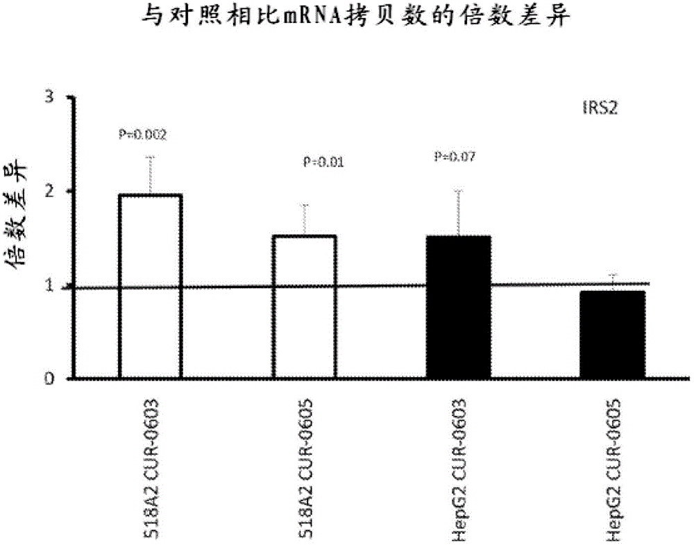 PG电子游戏官网