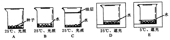 PG电子游戏官网